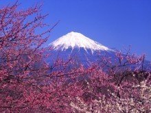 富士山高峰