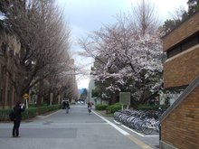 东京大学景观