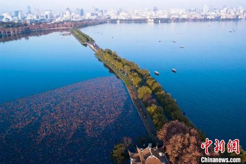 中国侨网杭州西湖。　杭州市园林文物局供图